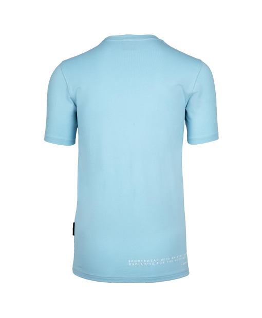 Swanton T-Shirt - Blue