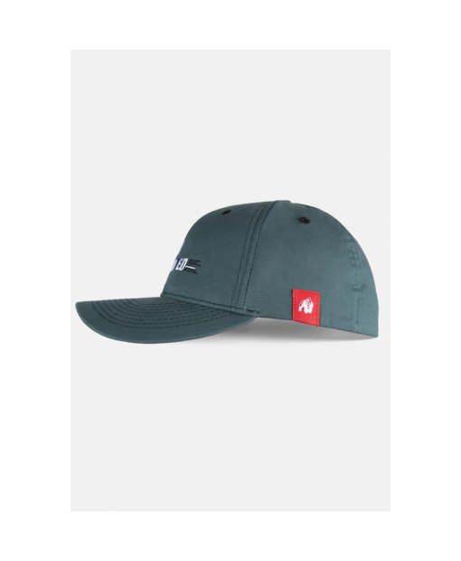 Кепка Hays Flexfit Cap Petrol2